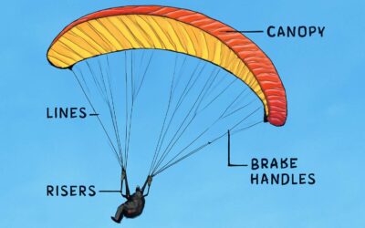 Mastering the Paraglider Diagram: A Complete Guide to Understanding Flight Dynamics and Design